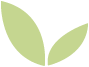 Leaf Icon