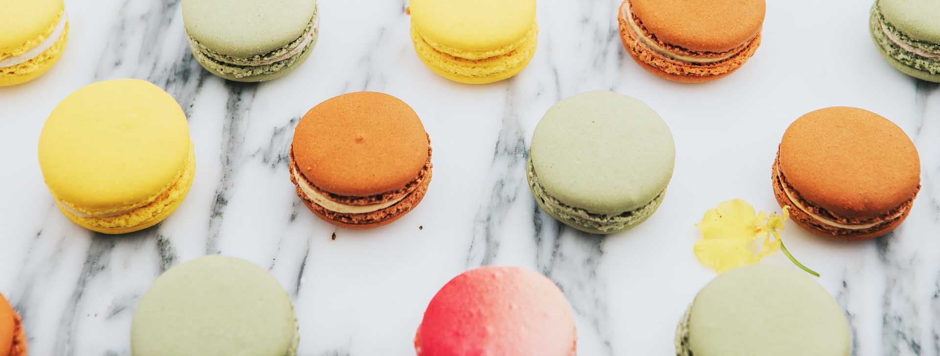 Macarons on Counter