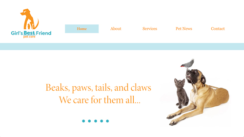 Girl's best Friend Website Concept